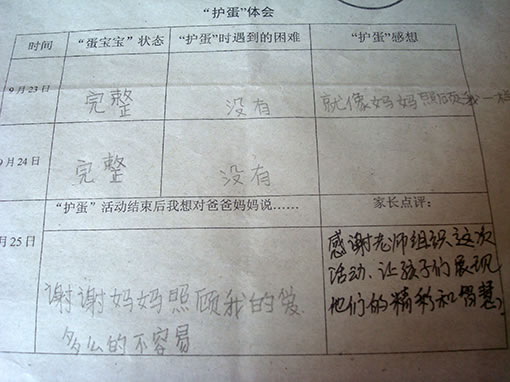护一个鸡蛋的感受,体会到父母,老师在长期的培养他们的过程中所付出的